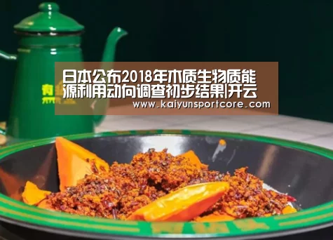 日本公布2018年木质生物质能源利用动向调查初步结果|开云首页(图1) 开云官方