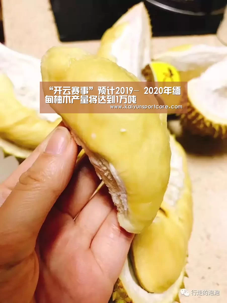 开云赛事