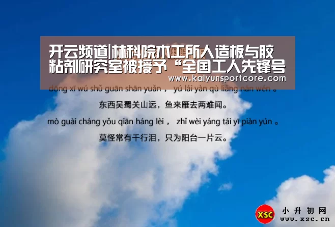 开云赛事