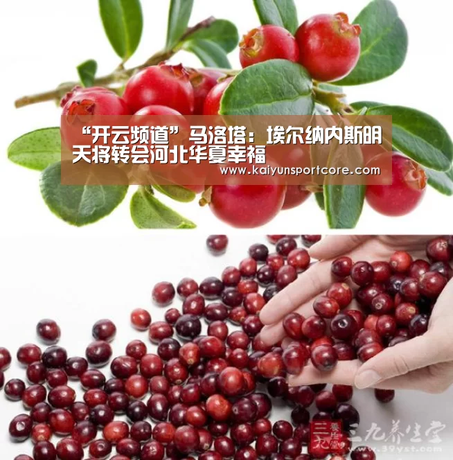 “开云频道”马洛塔:埃尔纳内斯明天将转会河北华夏幸福(图4) 开云首页