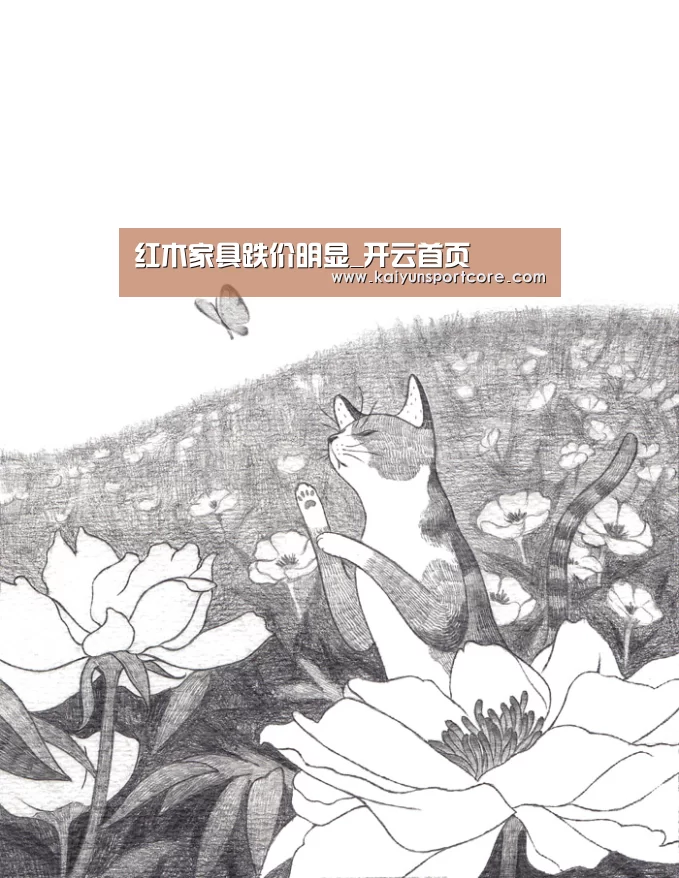 开云官方