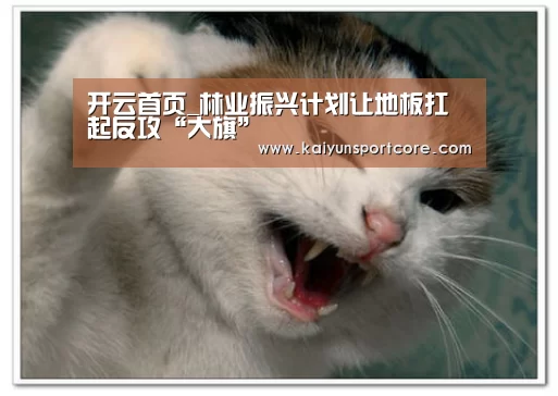 开云赛事