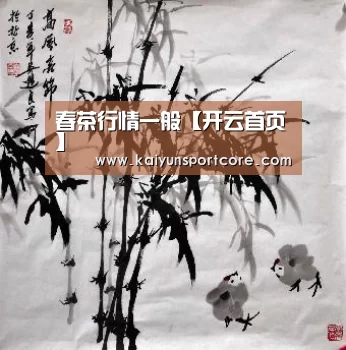 开云首页