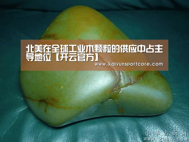北美在全球工业木颗粒的供应中占主导地位【开云官方】(图2) 开云首页