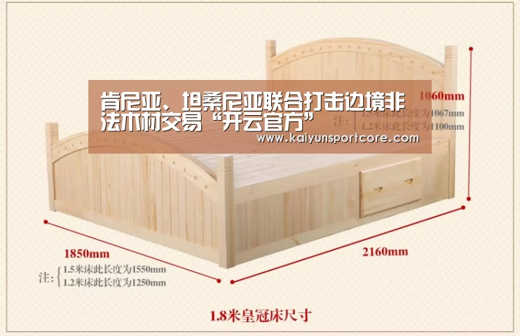 肯尼亚、坦桑尼亚联合打击边境非法木材交易“开云官方”(图1) 开云官方