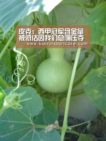 皮克:西甲冠军含金量被低估因我们总碾压夺冠_开云首页(图2) 开云赛事
