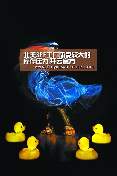北美SPF工厂承受较大的库存压力|开云官方(图2) 开云首页