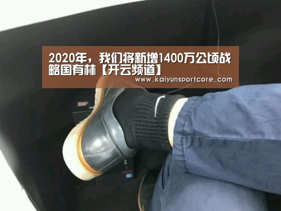开云频道